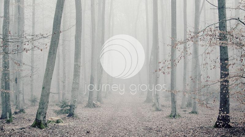 Echo Journey Groups