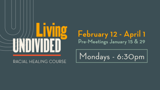 Living Undivided: Racial Healing Course